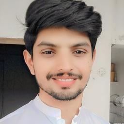 Salman  S. - Software Engineer - Web, WordPress and E-commerce Platforms