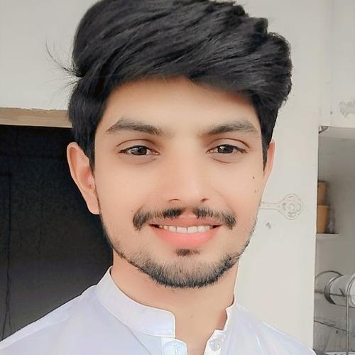 Salman  S. || item.role}