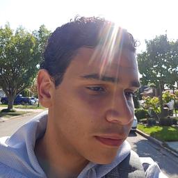 Salman Y. - Junior Software Engineer - AI, Cybersecurity and General Development