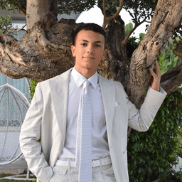 Salvatore P. - Junior Software Engineer - Web, Game Design and General Development