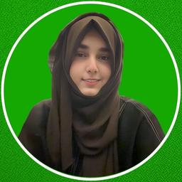 Sana S. - Senior Software Engineer - AI, Machine Learning and Data Science Platforms