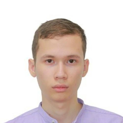 Sanjar N. || item.role}