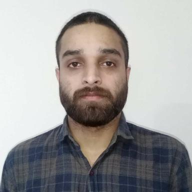 Sanjeev K. - Software Engineer - Web, WordPress and Shopify Platforms