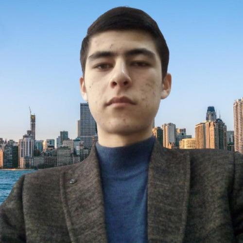 Profile of Shahboz M., Full Stack Developer at Softaims