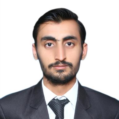 Shahzad Z. - Software Engineer - Web, WordPress and Frontend Development