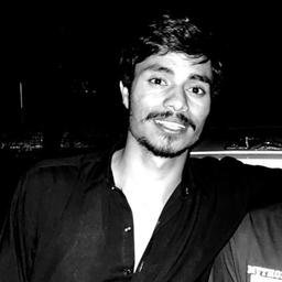 Shahzaib H. - Software Engineer - Backend, Cloud and Data Analysis Platforms