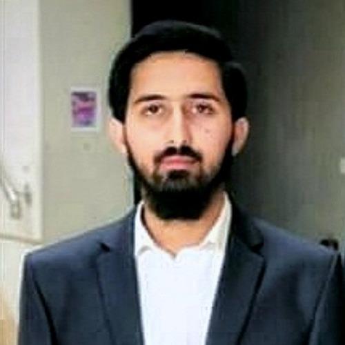 Shahzaib M. || item.role}