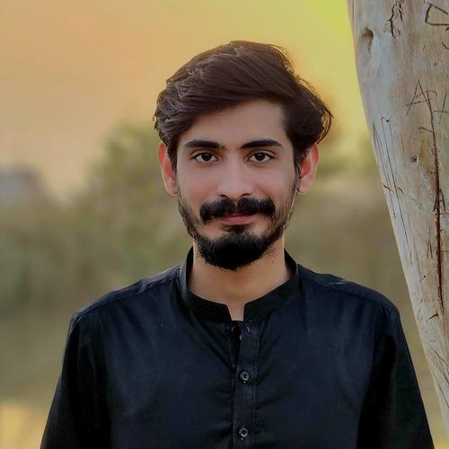 Shakaib I. || item.role}