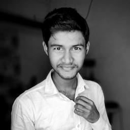 Shakil A. - Senior Full-Stack Engineer - WordPress, React and Modern Frameworks