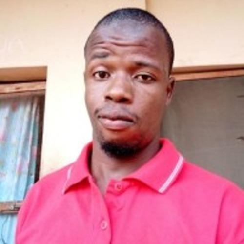 Shamsudeen A., developer