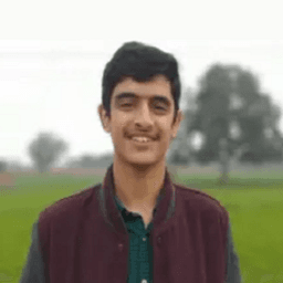 Sheikh Muhammad T. - Software Engineer - Web, Backend and General Development