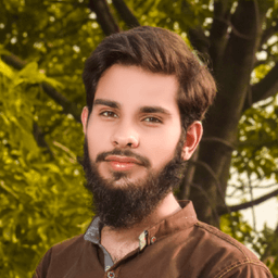 Sheraz A. - Software Engineer - Mobile, Game Development and Unity Platforms