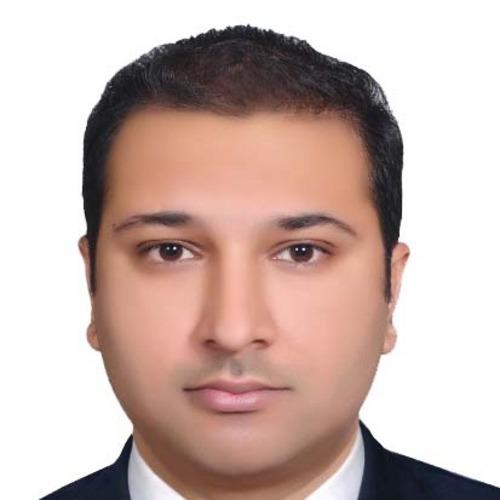 Sheraz I. || item.role}