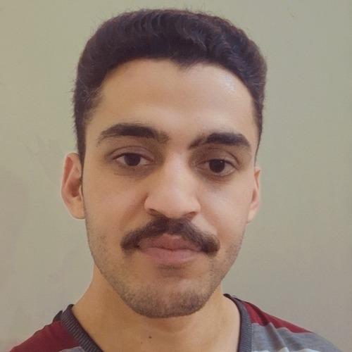 Shujahat A. || item.role}