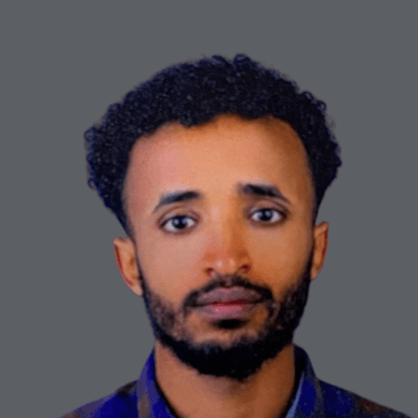 Silamlak D. - Junior Software Engineer - Backend, Python and REST API