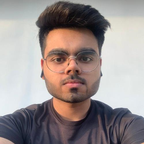 Snehit D. || item.role}