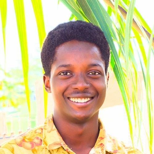 Profile of Solomon O., Software Engineer - Ecommerce, Shopify and Web Development at Softaims