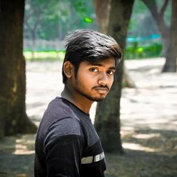 Srinivasa Manoj S. - Software Engineer - Frontend, Backend and Mobile Platforms