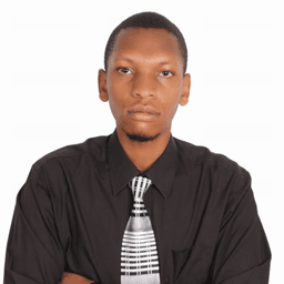 Stephen K. - Senior Software Engineer - Network Security, Ethical Hacking and Information Technology