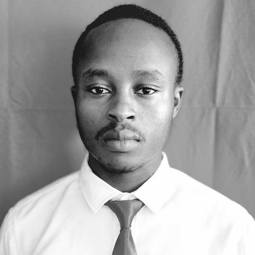 Profile of Stephen M., Software Engineer - Frontend, Node and Modern Frameworks at Softaims