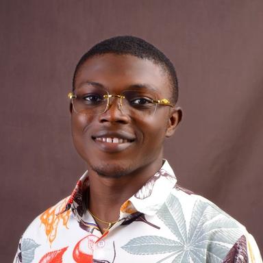 Stephen O. - Software Engineer - Mobile, Web and App Development