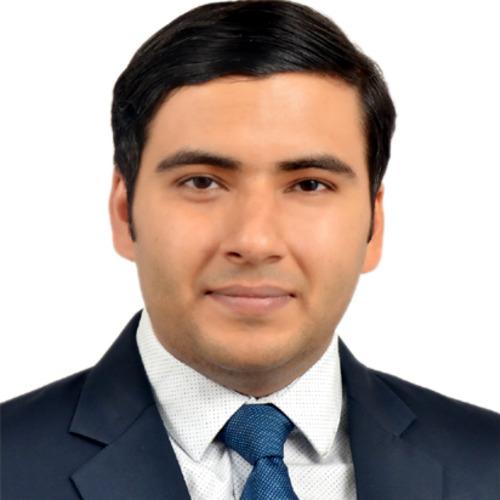 Sunny S. || item.role}