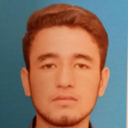 Syed Asghar A. - Software Engineer - Frontend, Backend and AI Platforms