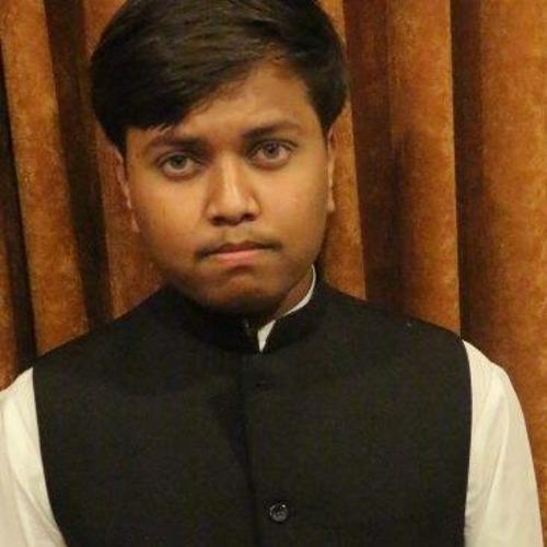 Syed Maisam Abbas Z. || item.role}