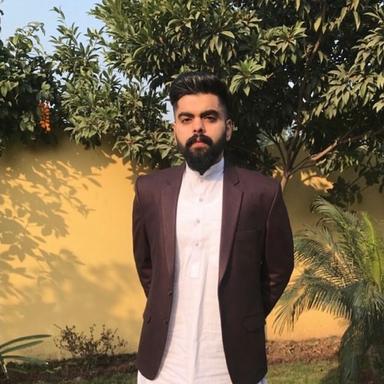 Talha M. - Software Engineer - AI, Python and Full-Stack Development