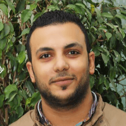 Tamer Z. - Software Engineer - Automation, Scripting and Financial Trading