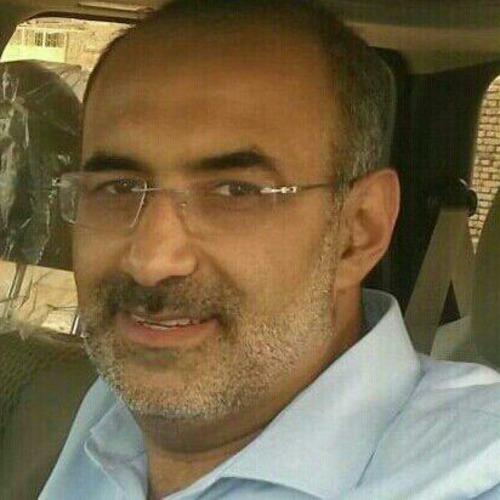 Tarig H. || item.role}