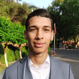 Tarik K. - Software Engineer - Frontend, Backend and Mobile Platforms