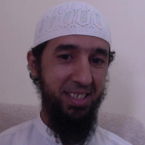 Profile of Tarik R., Senior Full-Stack Engineer - PHP, Vue.js and Web Development at Softaims