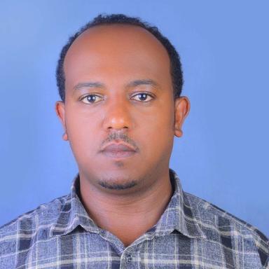 Temesgen M. - Software Engineer - Backend, Modern Frameworks and General Development