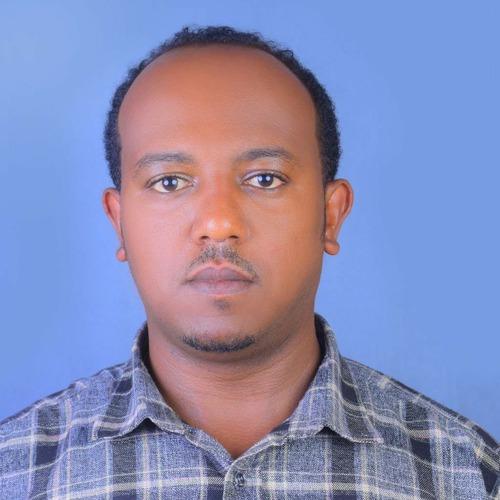 Temesgen M. || item.role}