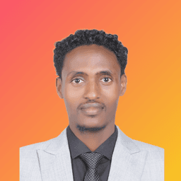 Temesgen Z. - Senior Full-Stack Engineer - Node.js, Flutter and Mobile Platforms