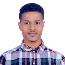 Tewodros E. - Senior Frontend Engineer - React, Angular and Modern Frameworks