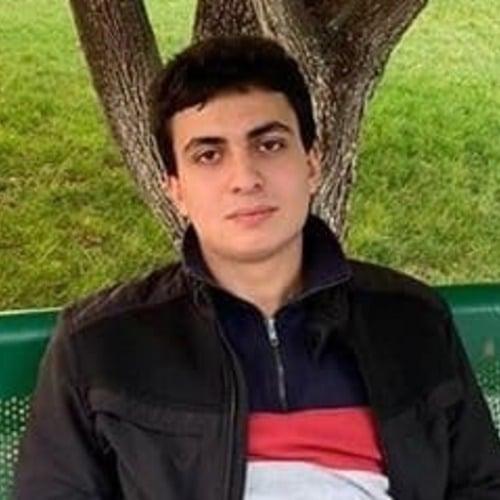 Tigran A. || item.role}