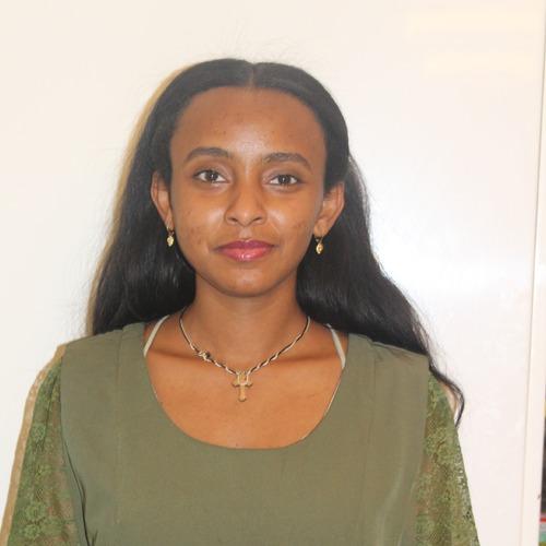 Tinsae D. || item.role}