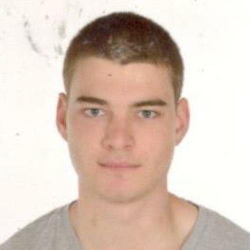 Todor V. || item.role}