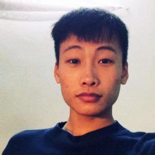 Profile of Tuan N., Software Engineer - Frontend, Backend and AI Platforms at Softaims