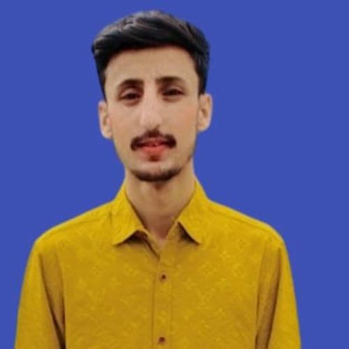 Ubaid A. || item.role}