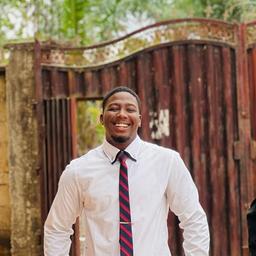 Ugorji C. - Junior Software Engineer - Game Development, Software Testing and General Development