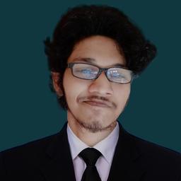 Viesro D. - Software Engineer - Backend, Web and WordPress Platforms