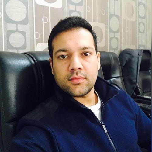 Vikas V. || item.role}