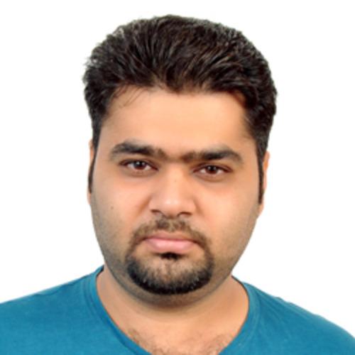 Vinay S. || item.role}