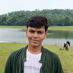 Viraj P. - Software Engineer - Cloud, DevOps and Backend