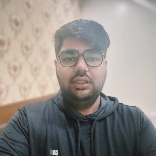 Vishesh S. || item.role}