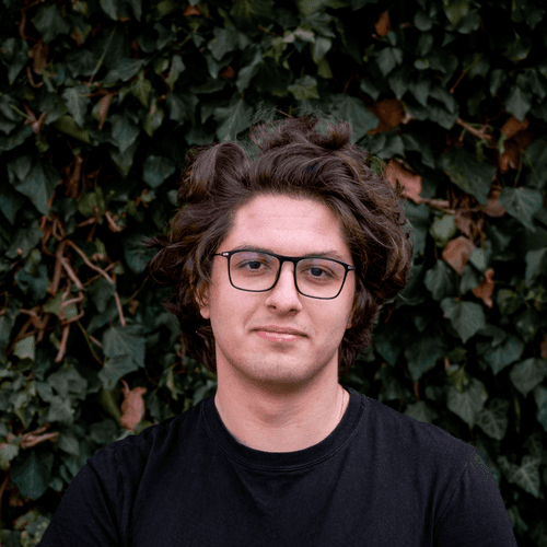 Profile of Vlad-Andrei T., Senior Software Engineer - Python, Machine Learning and Computer Vision at Softaims