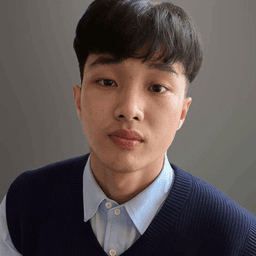 Vu Dinh N. - Software Engineer - Frontend, Modern Frameworks and Mobile Platforms